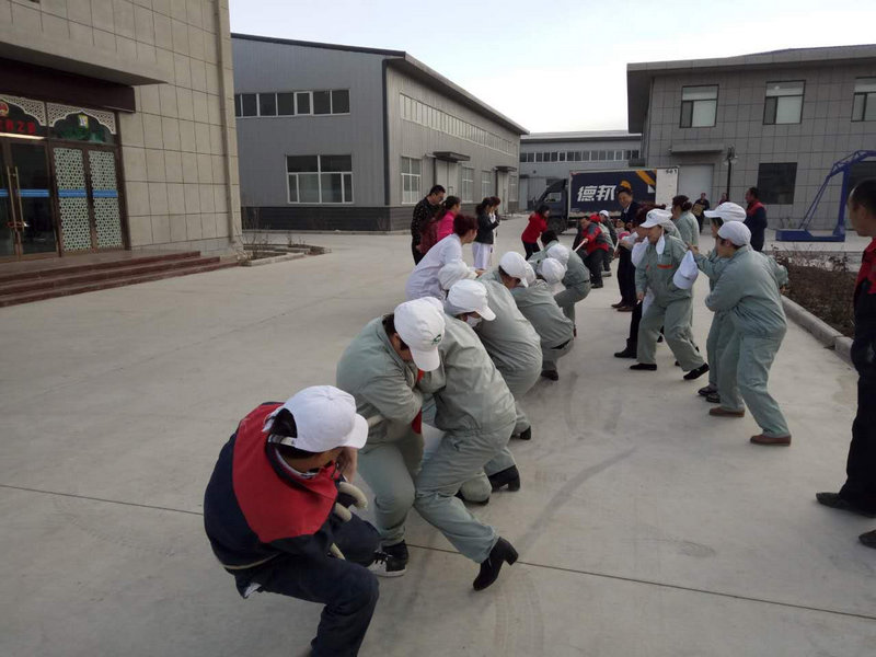 銀川伊百盛生物工程有限公司 銀川伊百盛生物工程有限公司