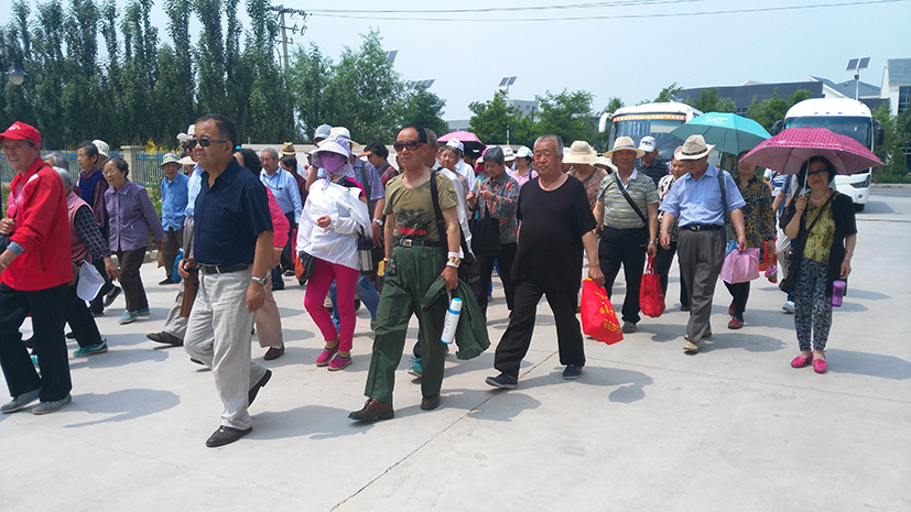 銀川伊百盛生物工程有限公司 銀川伊百盛生物工程有限公司