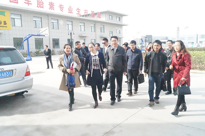 銀川伊百盛生物工程有限公司 銀川伊百盛生物工程有限公司