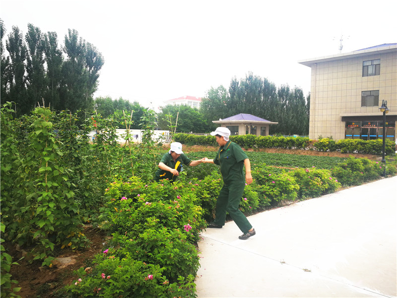 銀川伊百盛生物工程有限公司 銀川伊百盛生物工程有限公司