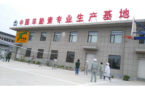 團(tuán)結(jié)合作，快樂(lè)迎五一