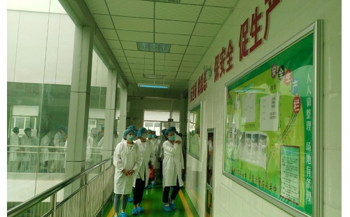 值公司成立十周年慶典，公司贊助萬名老人免費游寧夏系列活動