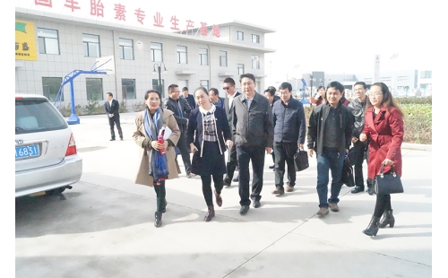 自治區(qū)黨委組織部領(lǐng)導蒞臨我公司調(diào)研指導黨建工作