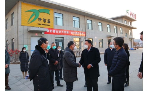 銀川市金鳳區(qū)委書記郝春明、區(qū)長張濤一行蒞臨銀川伊百盛參觀調(diào)研