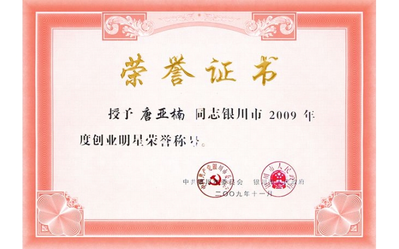 唐亞楠被評(píng)為2009年度創(chuàng)業(yè)明星稱(chēng)號(hào)